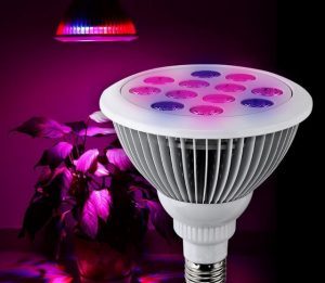 24w-LED-Grow-Light-TaoTronics.jpg_640x640-300x300