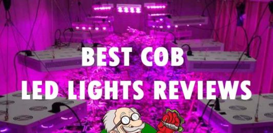 cob-lights-768x591