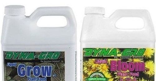 dyna-grow-e1531281961301