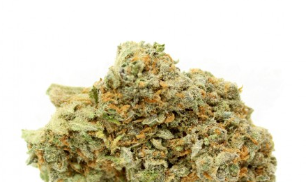 GreenCrack-Strain-Review GreenCrack-Strain-Review