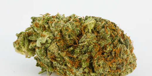 afghankush-strain Afghan Kush Strain Review