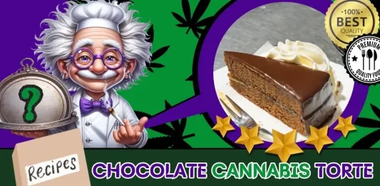 chocolate-cannabis-torte-recipe-featured-image-OPTIMIZED The featured image of the Chocolate Cannabis Torte Recipe with The Weed Prof's mascot presenting the baked THC-infused dessert.