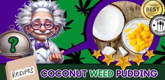 coconut-weed-pudding-recipe-featured-image The featured image of the Coconut Weed Pudding Recipe with The Weed Prof's mascot presenting his delicious 420 dessert topped with fruit and seeds.