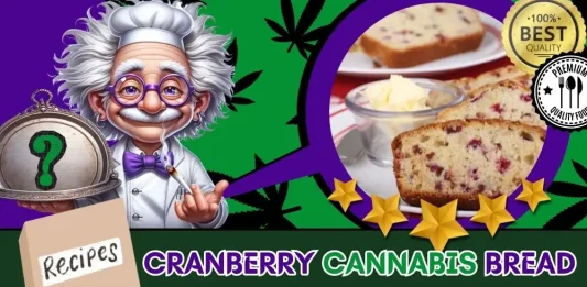 cranberry-orange-cannabis-bread-recipe-featured-image-OPTIMIZED The featured image of the Cranberry Cannabis Bread Recipe with The Weed Prof's mascot presenting the baked 420 dessert served fresh on a plate with butter.