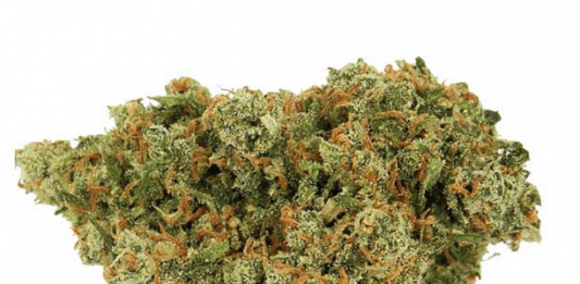 jackherer-strain Jack Herer Strain Review