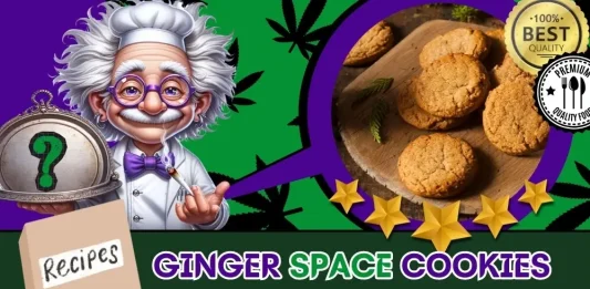 ginger-space-cookies-recipe-featured-image-OPTIMIZED