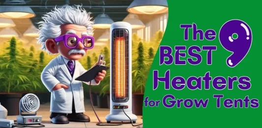 best-grow-tent-heaters-featured-image-OPTIMIZED Featured Image for The Weed Prof's Best Grow Tent Heaters Buyer's Guide: An Einstein-like professor conduct tests in his grow tent with various heaters and surrounded by his cannabis plants.