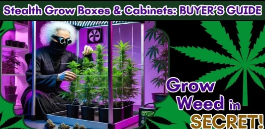 The featured image for the review of the five best stealth grow boxes and cabinets on The Weed Prof blog.