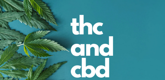 thc-cbd-difference thc-cbd-difference