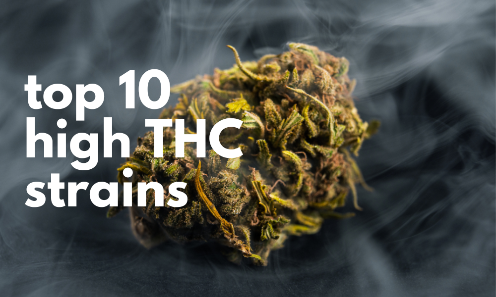 top 10 high THC weed strains