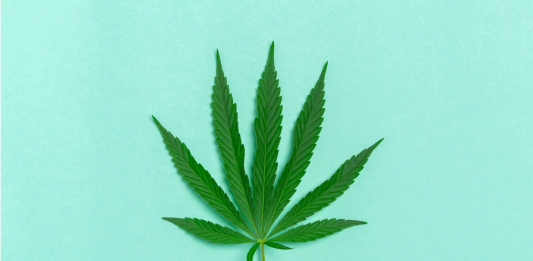 what-is-cannabis
