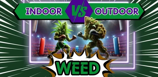 indoor-vs-outdoor-weed-featured-image-OPTIMIZED The featured image of The Weed Prof's Indoor vs Outdoor Weed article examining the differences between the two types of cannabis.