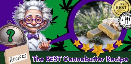best-cannabutter-recipe-featured-image-OPTIMIZED The featured image of the Best Cannabutter Recipe with The Weed Prof's mascot presenting freshly made weed butter perfect for making THC-infused edibles.