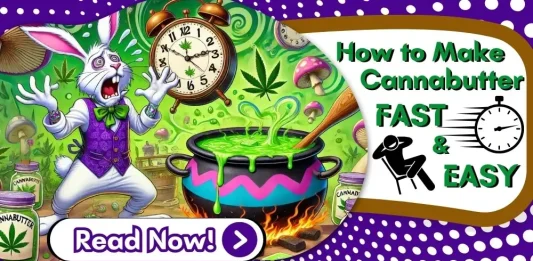 how-to-make-cannabutter-fast-featured-image-OPTIMIZED
