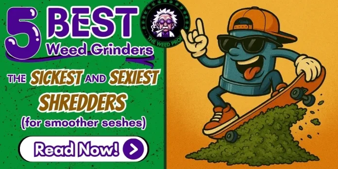 The featured image for the 