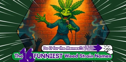 funniest-strain-names-featured-image-OPTIMIZED The featured image for the