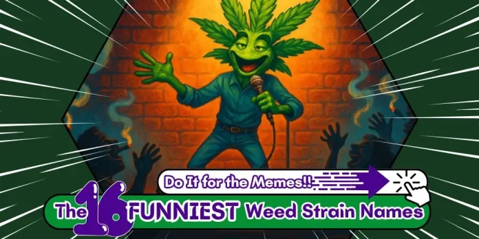 The featured image for the 