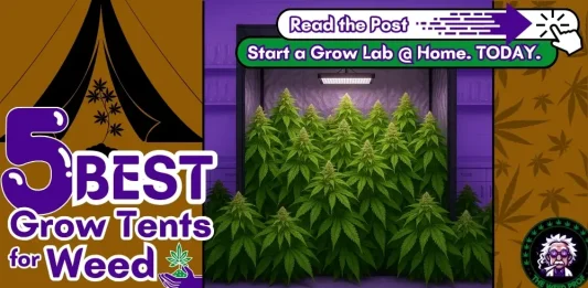 best-weed-grow-tent-featured-image-OPTIMIZED The featured image for the 'Best Grow Tents for Weed' buyer's guide, featuring a tent in a grow lab overflowing with cannabis amongst text overlays and graphical CTAs.