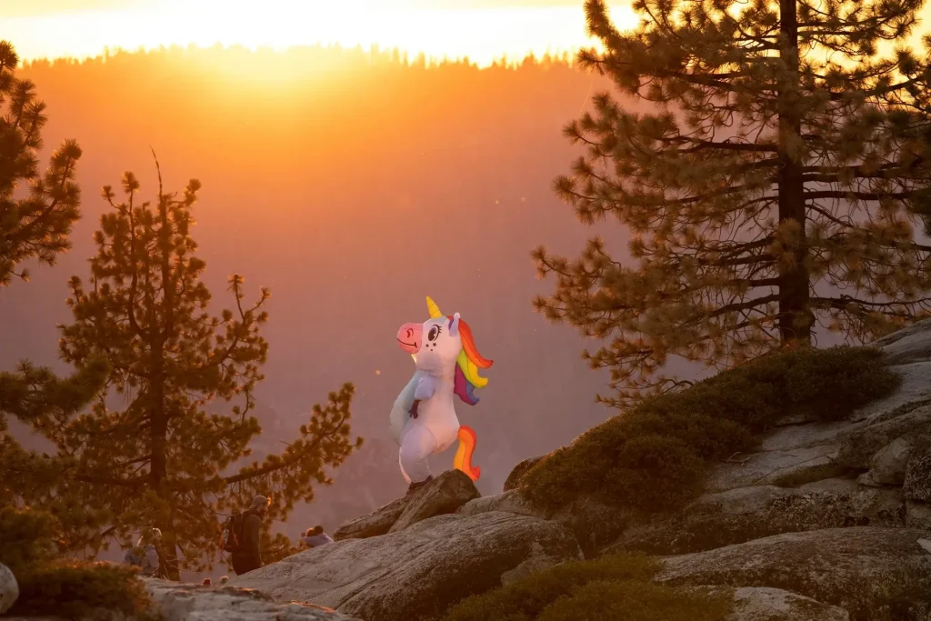 A highly functional stoner wearing an inflatable unicorn costume stands on a mountain at sunset and enjoys the view pensively.