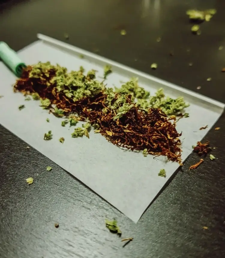 A spliff being rolled, mixing tobacco and cannabis, to control dosing for a more productive life as a stoner.